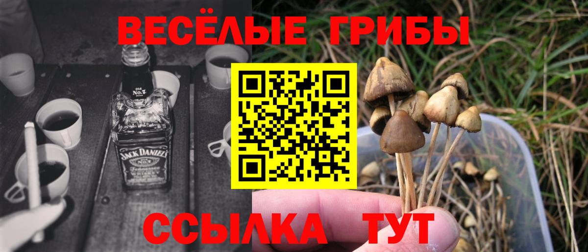 Галлюциногенные грибы прущие грибы  Галлюциногенные грибы Cubensis  Вход с VPN  Бутурлиновка 